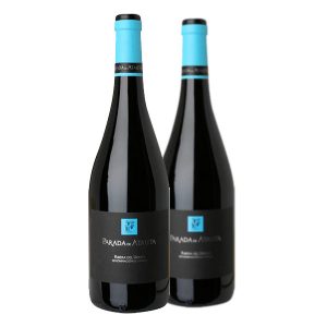 Parada de Atauta Ribero del Duero 2022