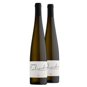 Rulendis Pinot Grigio Superiore 2021