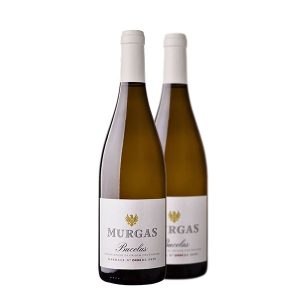 Murgas Bucelas Branco 2021