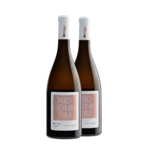 Oenops Kidonista 2022